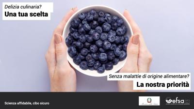 Tazza di mirtilli